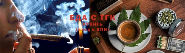 прущие грибы Елабуга