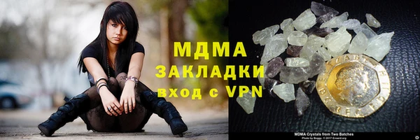 прущие грибы Елабуга