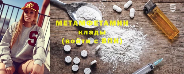 прущие грибы Елабуга