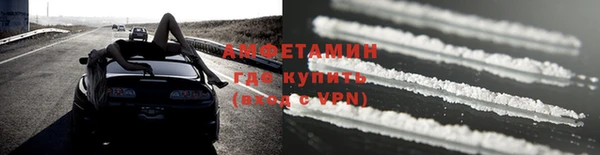 прущие грибы Елабуга
