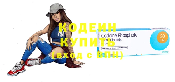 прущие грибы Елабуга