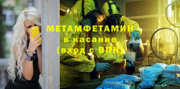 прущие грибы Елабуга