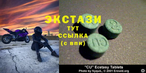 прущие грибы Елабуга