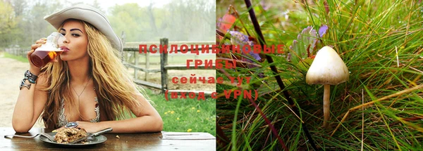 трава Елизово