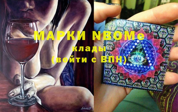 прущие грибы Елабуга