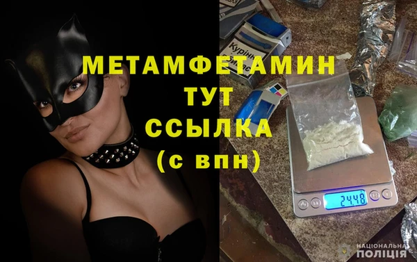 прущие грибы Елабуга