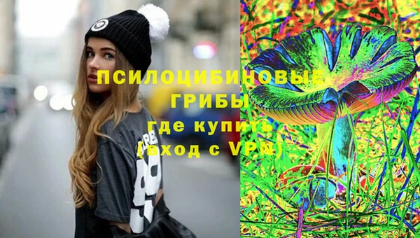 прущие грибы Елабуга