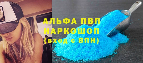 прущие грибы Елабуга