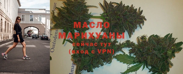 прущие грибы Елабуга