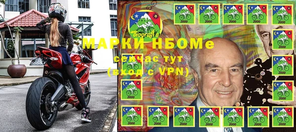 прущие грибы Елабуга