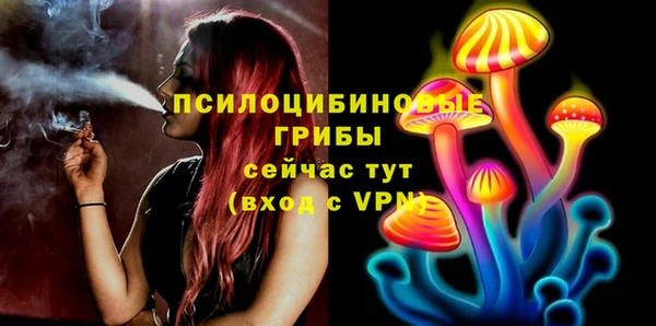 трава Елизово