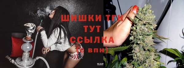 трава Елизово