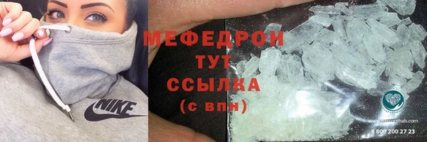 прущие грибы Елабуга