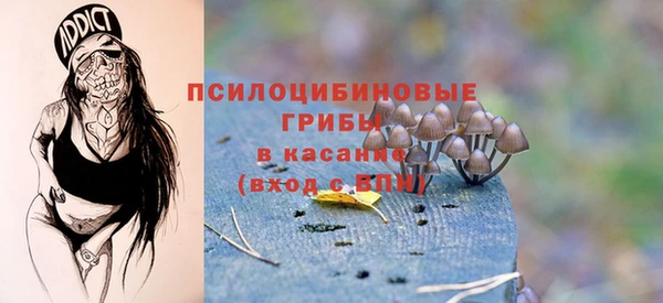 трава Елизово